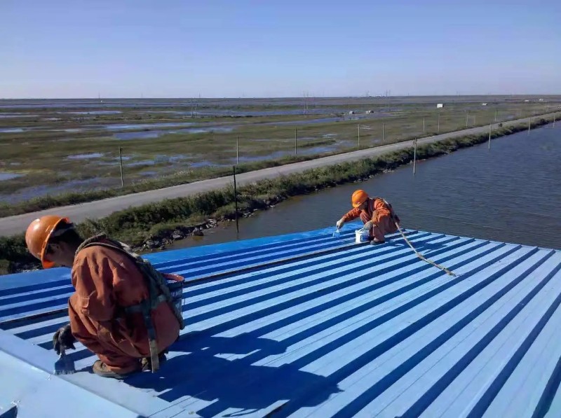 平舆彩钢瓦屋面防腐翻新